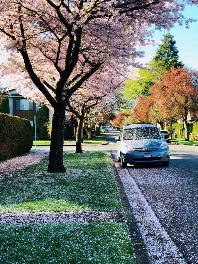 The Sunshine House-Free Parking Vancouver Exterior foto